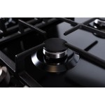 HAUSLER HAS-31-SS-BLK газовая комб.панель