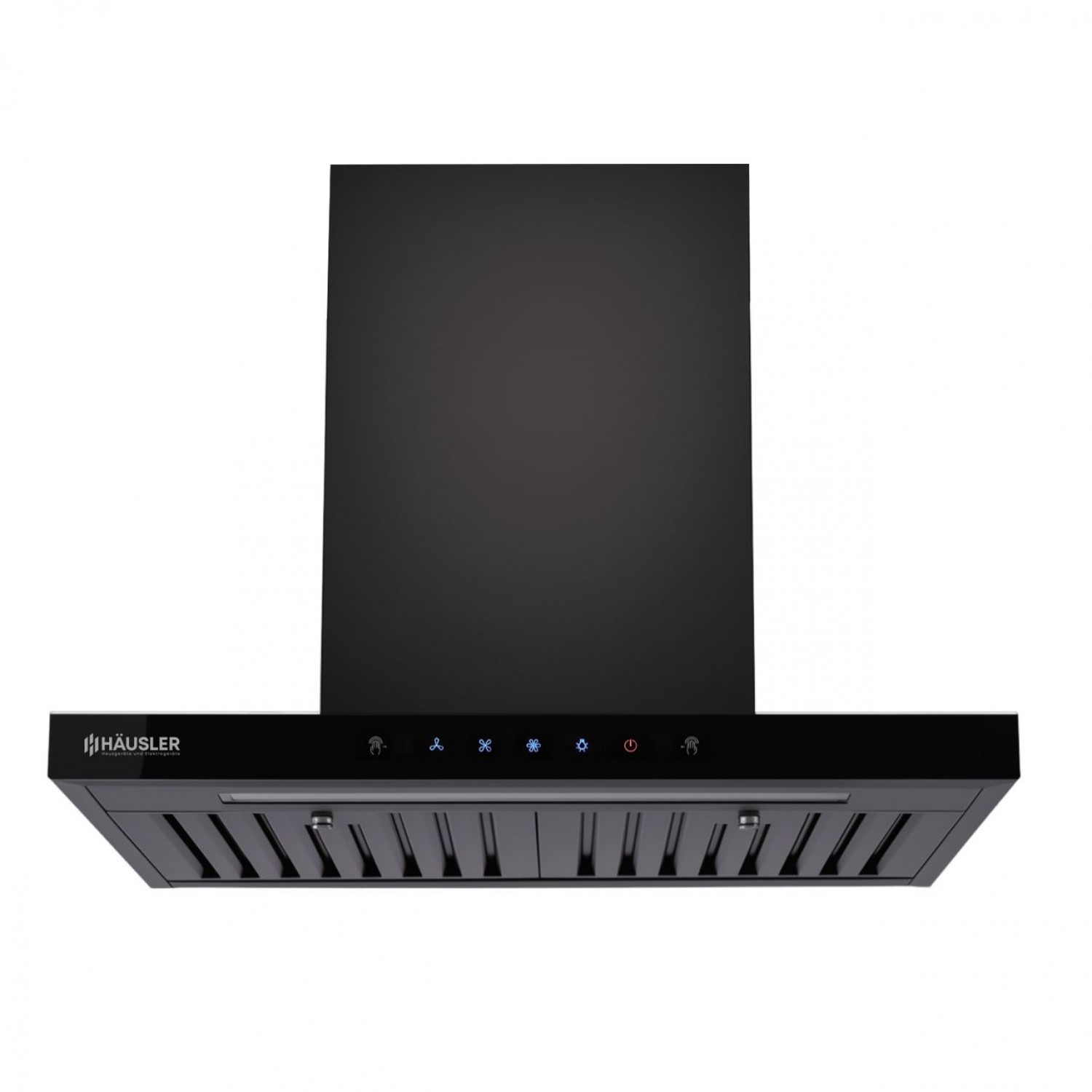 HAUSLER HLS-60DG650 вытяжка Т - образная